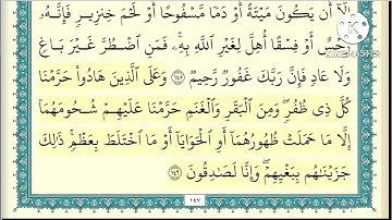 سورة الأَنعام صفحه ١٩ مكتوبه مكرره ١٠ مرات بصوت الشيخ ياسر الدوسري