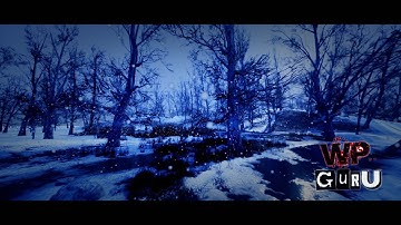 Winter Forest - Unreal Engine Animation