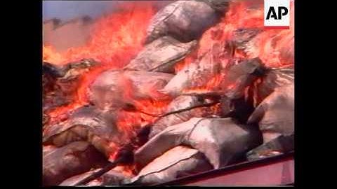 IRAN: COUNTRY SIGNS DRUG AGREEMENT WITH UN