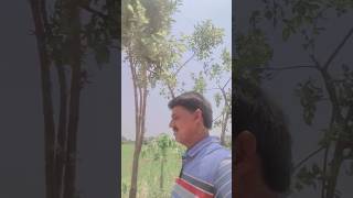 Jahan hawai gam ki hum tak #love #viral #trending #funny #video