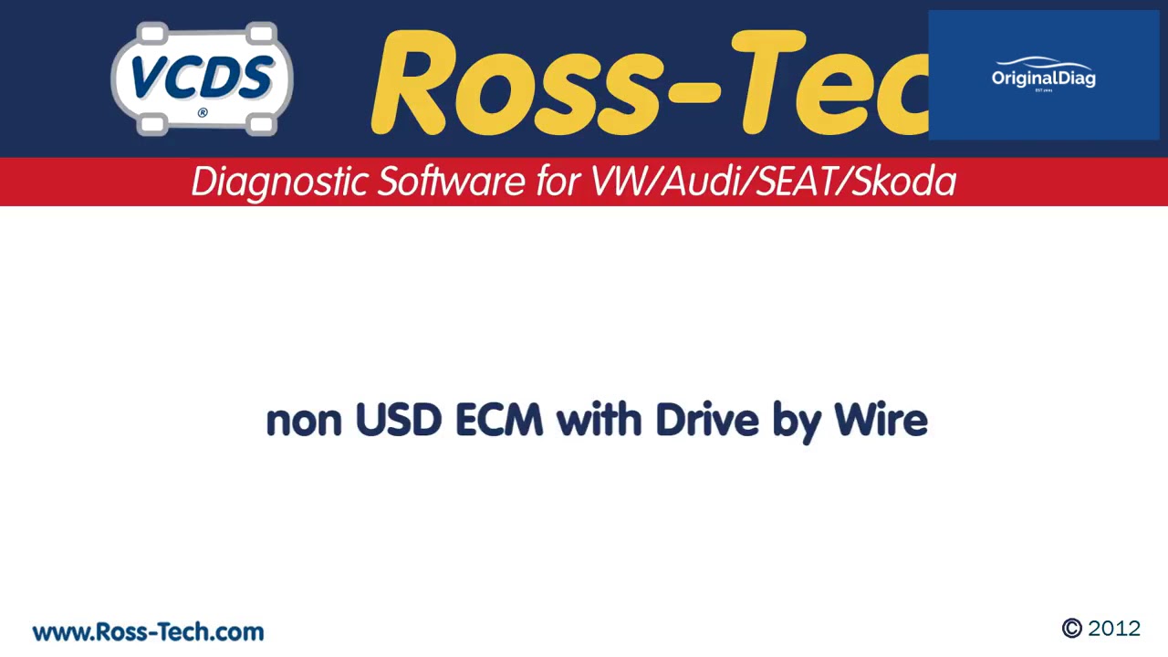 How to do the Throttle Body Alignment with VCDS