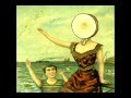 Neutral Milk Hotel - In the Aeroplane Over the Sea (subtítulos en español)