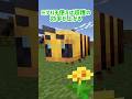 【効率的】ハチを使って作物の収穫の効率を上げる裏技 #マイクラ #マインクラフト #minecraft #shorts
