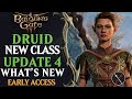 Baldur's Gate 3 DRUID GAMEPLAY: DRUID CLASS and UPDATE 4 for BG3 Early Access