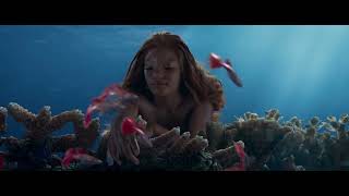 daughters of triton ariel sisters clean up shipwreck think ariel is in love | little mermaid 2023 hd