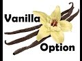 What is a Vanilla Option?
