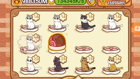 update on catizen, mozo airdop and hexacore..how to connect wallet