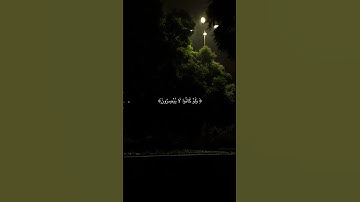 تلاوة خاشعة تهز القلوب | القرآن الكري