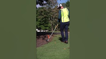How to Edge with a String Trimmer #lawncaretips #lawncare #asmrsounds #satisfying