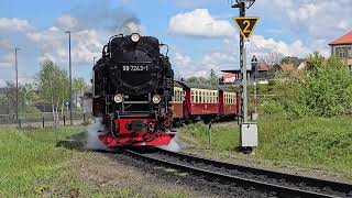 Brockenbahn mit BR 99 7243-1 Abfahrt Wernigerode Hauptbahnhof Richtung Brocken