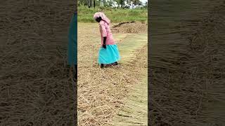 Minikidz Korai Chatai