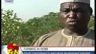 Farming in Kebbi:Agriculture is a major employer of labour