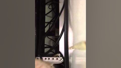 Testing my Mesa/Boogie Triaxis