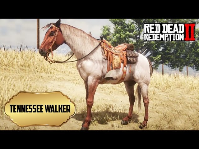 28 - CONSEGUI um dos CAVALOS mais BONITOS do JOGO - O DOMADOR DE CAVALOS -  Red Dead Redemption 2 