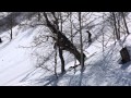 old footage from Kamchatka (2011)