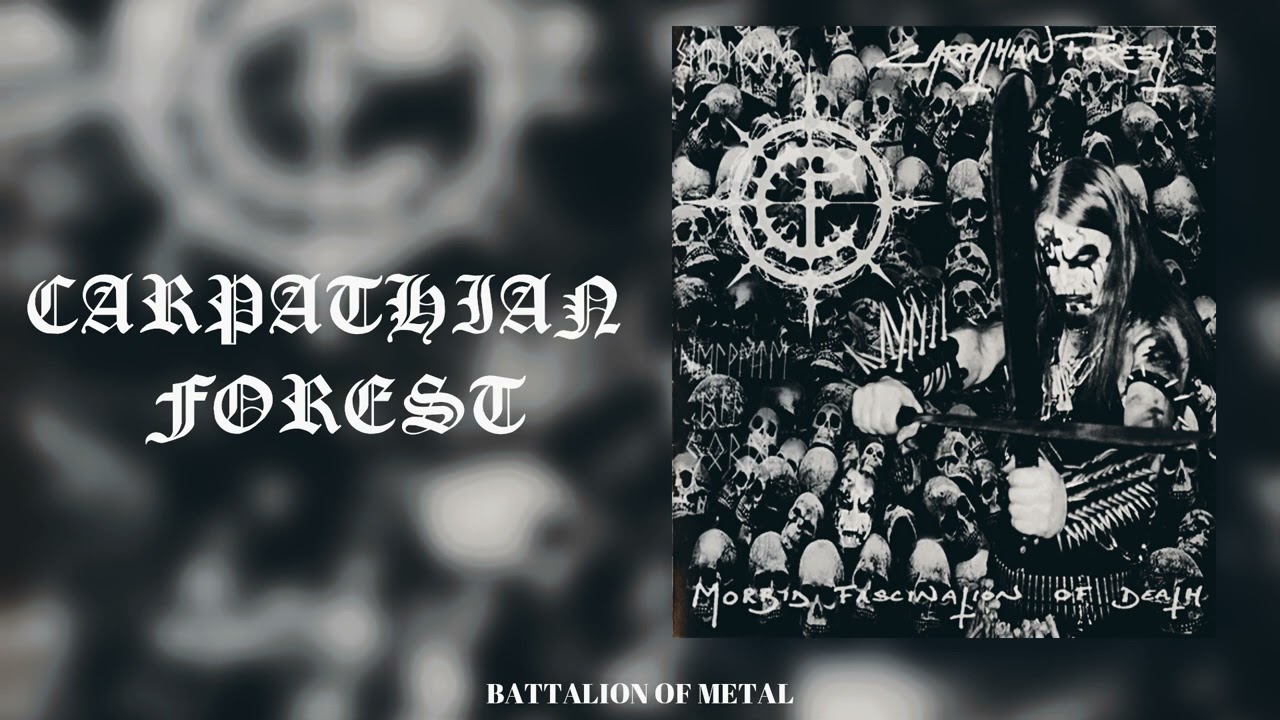 CARPATHIAN FOREST - Carpathian Forest 🤘🤘🤘 Black Metal - YouTube