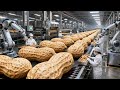 How Tamarind Paste Is Made 😱 | Inside the 10,000 Ton Mega Tamarind Factory