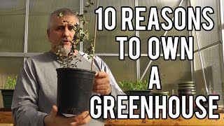 10 Reasons To Own A Greenhouse