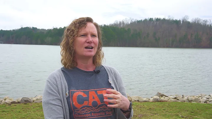 The Woman Behind the Swim | Mary Beth Kurz
