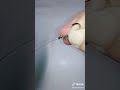أحلا ربط سناره سيد بحري