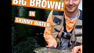 BIG BROWN TROUT & a Rainy Day