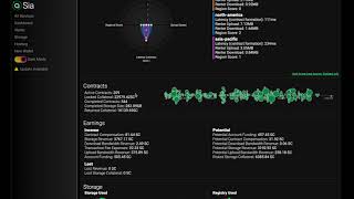 Setting up Sia on HandyHost screenshot 3
