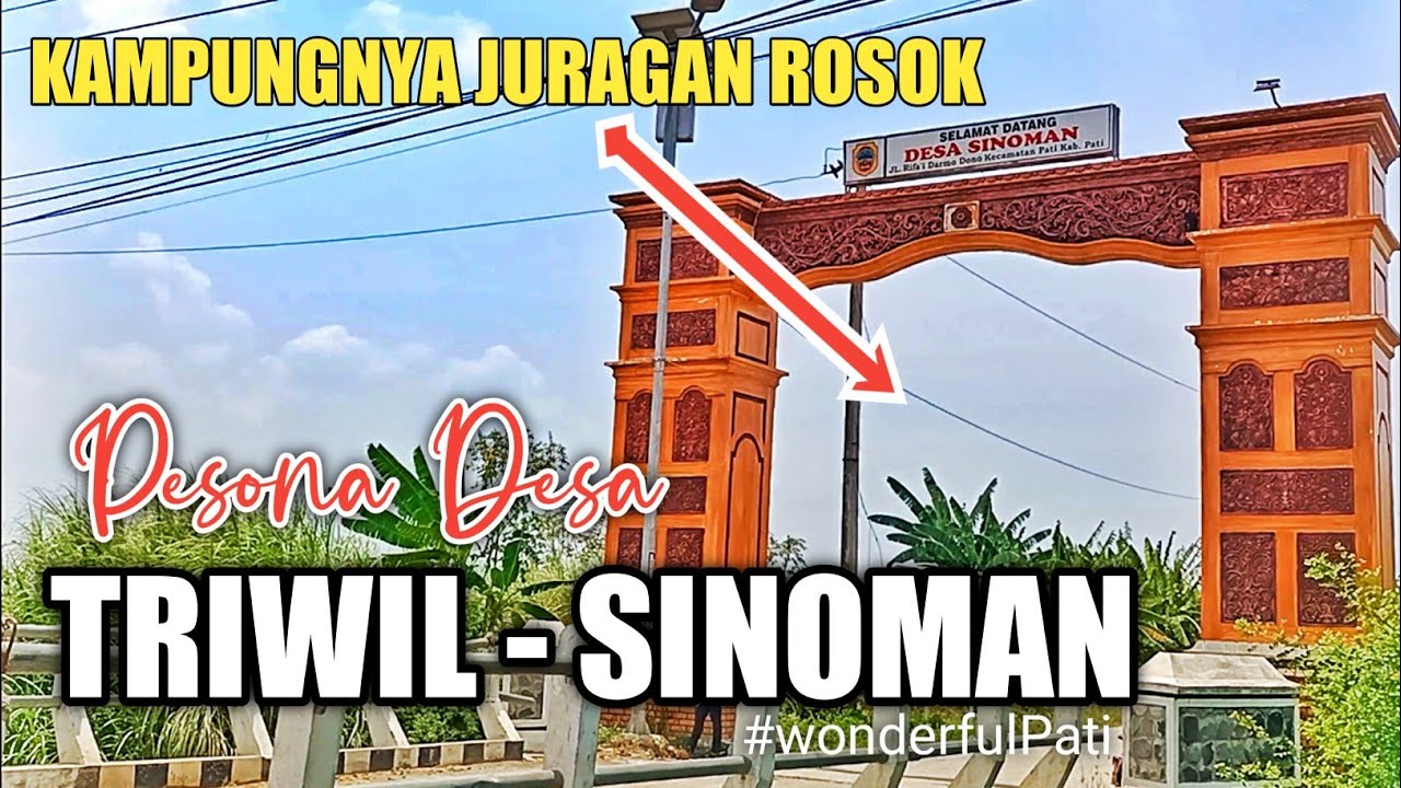 PESONA DESA ( DESA TRIWIL - SINOMAN ) Desa nya Juragan Rosok // PATI 2021