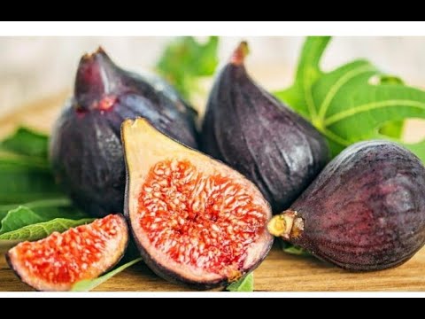 ИНЖИР. КАКИЕ БЫВАЮТ ФОРМИРОВКИ КУСТА, ИХ ПЛЮСЫ И МИНУСЫ.