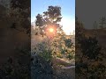 Morning at Hawaii Volcanoes National Park