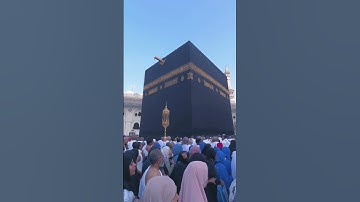 شیخ یاسر الدوسری تلاوة خاشعة لآيات القرآن الكريم | بصوت جميل يلامس القلب