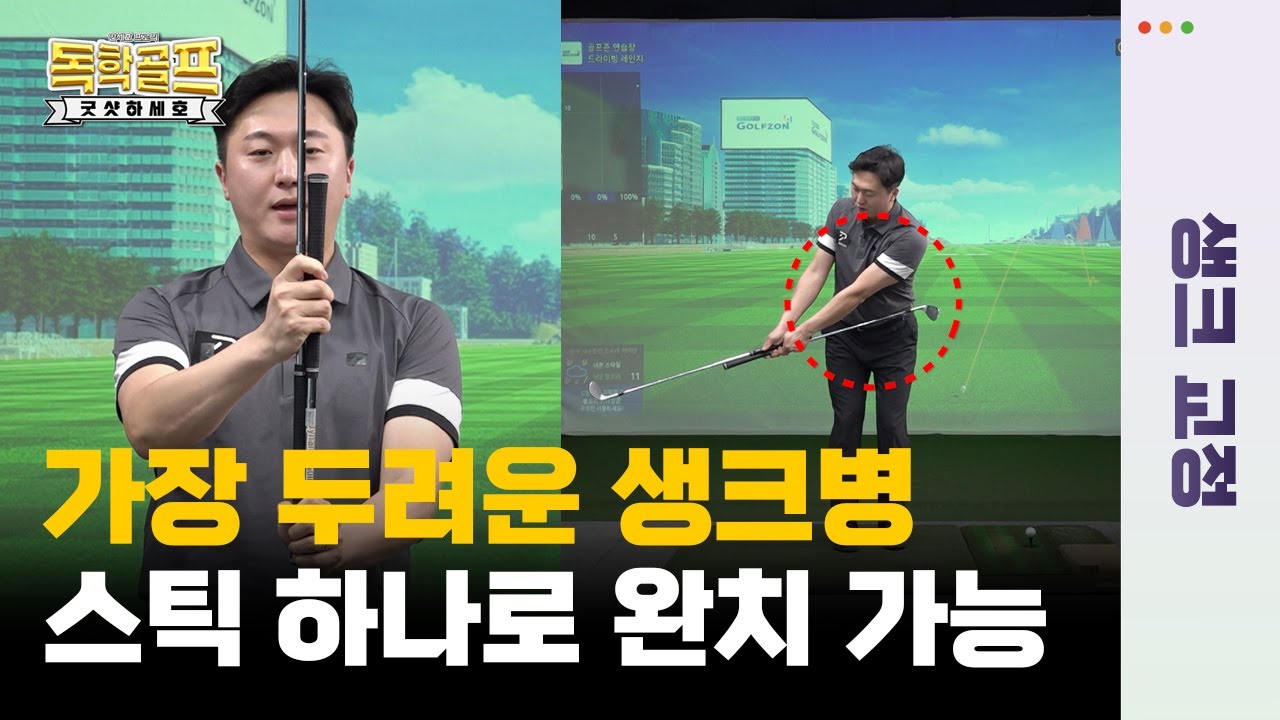 😱아이언 생크😱원인 모를 생크병에 걸린 당신에게 ⭐완벽한 해법⭐ 공개👍👍[안세호프로의 독학골프 굿샷하세호 9회]