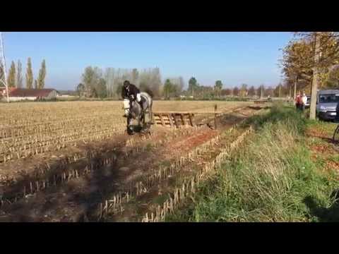Sint-Hubertus viering -