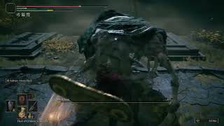 Elden ring boss fight solo NG+1 Grafted scion