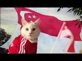 (Majulah Singapura) Cats celebrating Singapore's national day - BROSSY MEOWINGTON