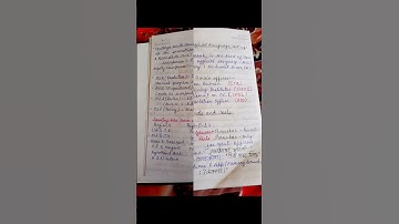 OFFICIAL LANGUAGE ACT NOTES VIDEO #like #love #aai #official #language #Act #explore #share #2023