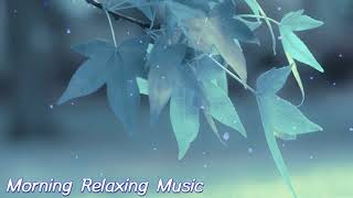 Relaxing Morning Music   Great Piano Music To Reduce Stress For A New Day Full of Energy!