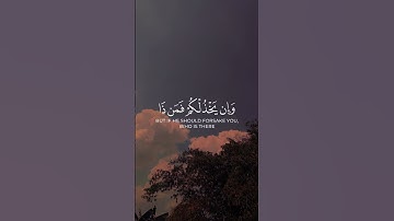 إن ينصركم الله فلا غالب لكم _ ياسر الدوسري  سورة آل عمران #قران #quran #explorepage #explore #foryou