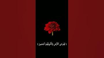 (قَالَ رَبِّ بِمَاۤ أَغۡوَیۡتَنِی) القارئ هزاع البلوشي