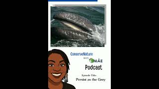 Persist as the Grey