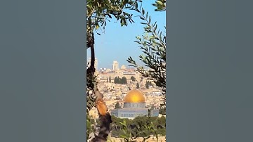 سورة الحجرات #القرآن_الكريم #اكسبلور #المصحف #quran #سورة_الحجرات ماهر المعيقلي