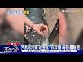 汽旅泳池藏「破塑瓶」 孩踩傷 母怨:體驗差｜TVBS新聞 @TVBSNEWS01