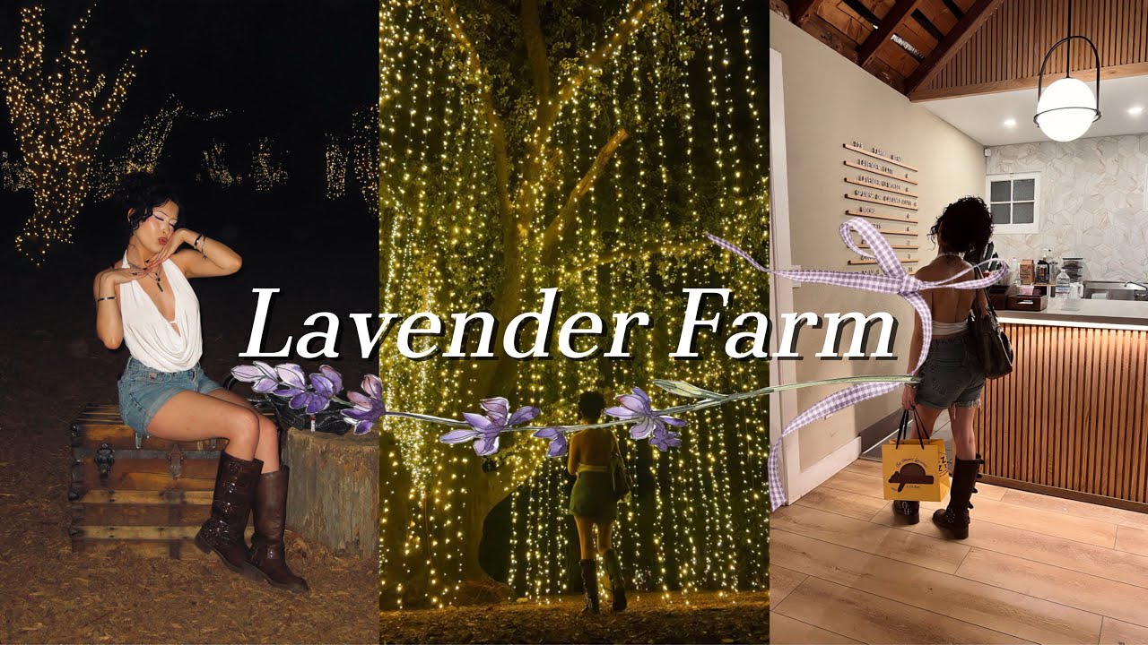 Purple Ranch Vlog: I went to a lavender farm (I tried lavender ranch..it was good ...