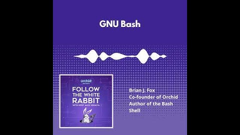 What is the GNU Bash Shell with Brian J. Fox