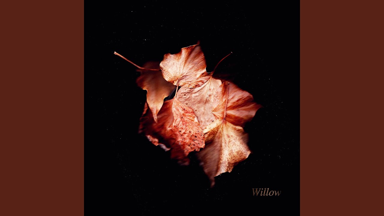 Watch Willow on YouTube Watch Willow on YouTube