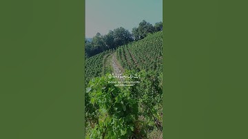 قران كريم #قران_كريم #اكسبلور #تيك_توك #France #duet #دويتو #راحة_نفسية #لايك #ترند #beautiful #حال