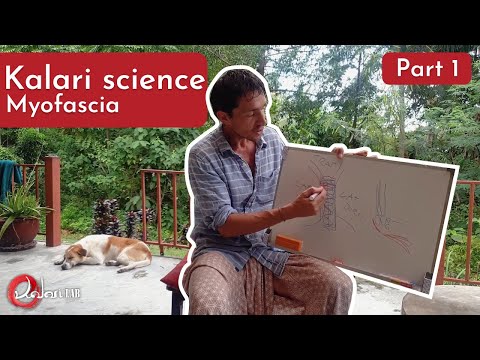 Kalaripayattu Science - Myofascia - Part 1