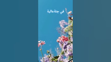في جنة عالية لا تسمع فيها لاغية          #سورة_الغاشية #عبد_الرحمن_مسعد