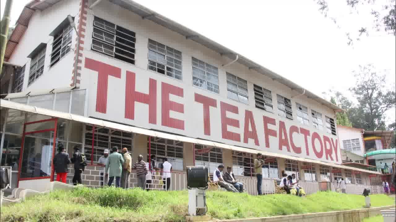 Doddabetta Tea Factory Ooty Hybiz tv YouTube Doddabetta Tea Factory Ooty Hybiz tv YouTube