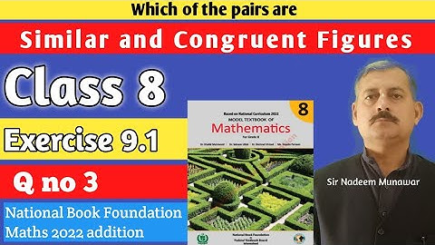Class 8 Exercise 9.1 Q no 3 Ex 9.1 NBF Maths How Find  Similar pairs figures Sir Nadeem Munawar