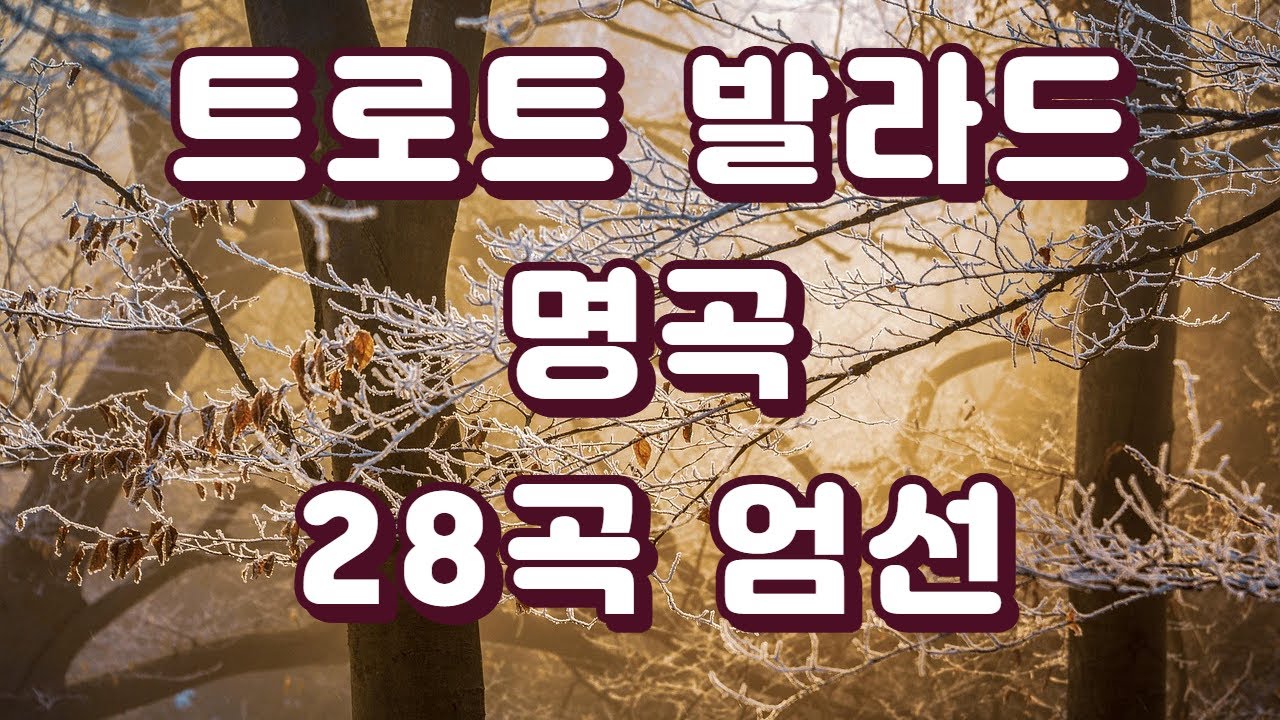[Live]트로트 발라드 명곡엄선 28곡 7080 감성 라이브 연속재생 | 편안히 쉬시면서 감상하세요! #트로트 #발라드 #7080트로트 & 발라드 명곡엄선  감성 눈물샘 자극!